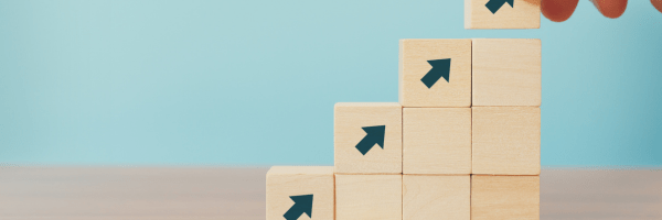 My Counseling Process