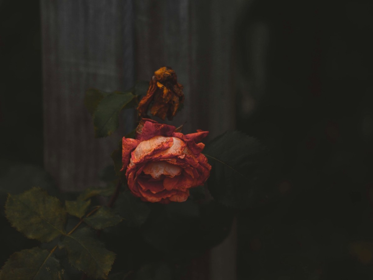 Living in the Shadow of Eternity: How to Face Life and Death&nbsp;Well